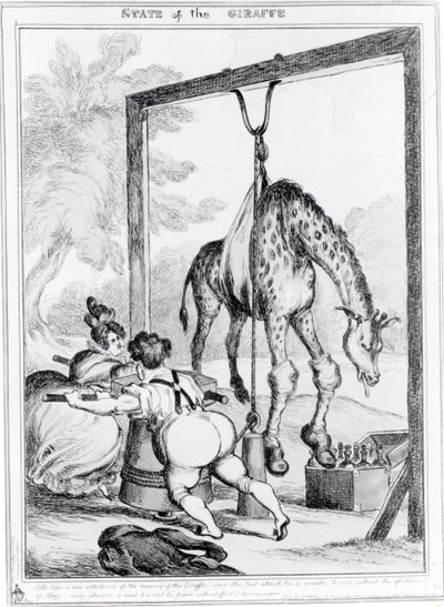 Zustand der Giraffe, 1829 von William Heath