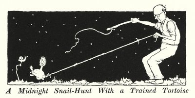 Eine Mitternachts-Schneckenjagd mit einer trainierten Schildkröte von William Heath Robinson