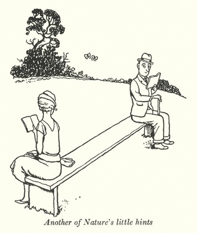 Ein weiterer kleiner Hinweis der Natur (Litho) von William Heath Robinson