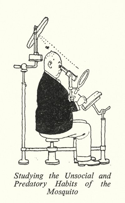 Studium der unsozialen und räuberischen Gewohnheiten der Mücke (Lithografie) von William Heath Robinson