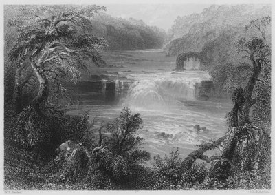 Lachssprung bei Leixlip (Gravur) von William Henry (after) Bartlett