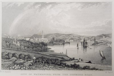 Ansicht von Waterford von der Dunmore Road, Irland, graviert von W. Taylor von William Henry Bartlett