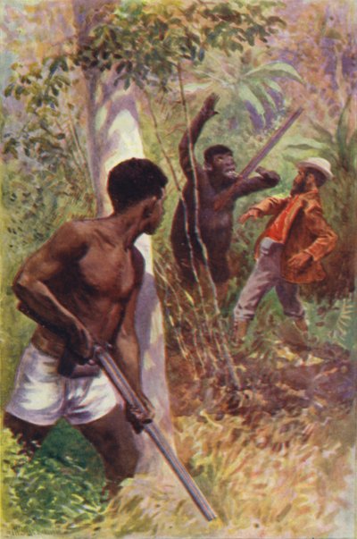 Illustration für The Gorilla Hunters von R M Ballantyne von William Henry Charles Groome