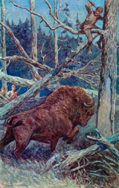 Der Bison scharrte wütend den Boden von William Henry Charles Groome