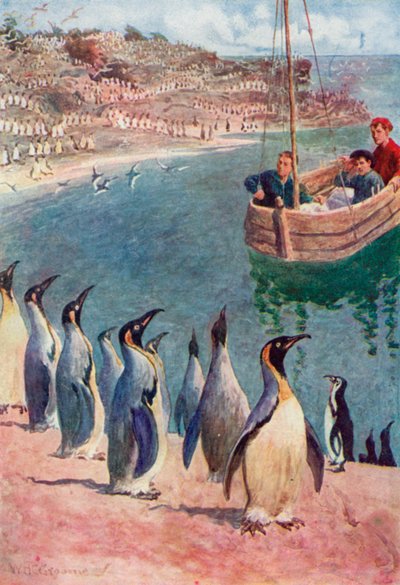 Wir betrachteten die Vögel mit Überraschung und Freude, sie erwiderten unseren Blick mit Interesse von William Henry Charles Groome