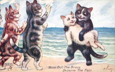 Humorvolle Katzenpostkarte von William Henry Ellam