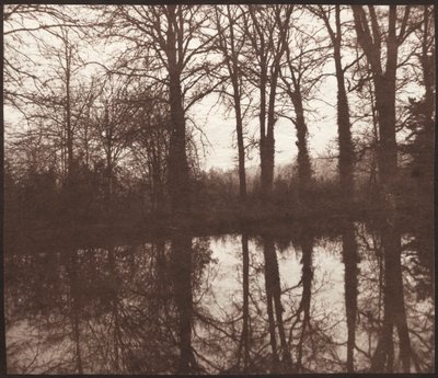 Winterbäume, die sich in einem Teich spiegeln von William Henry Fox Talbot