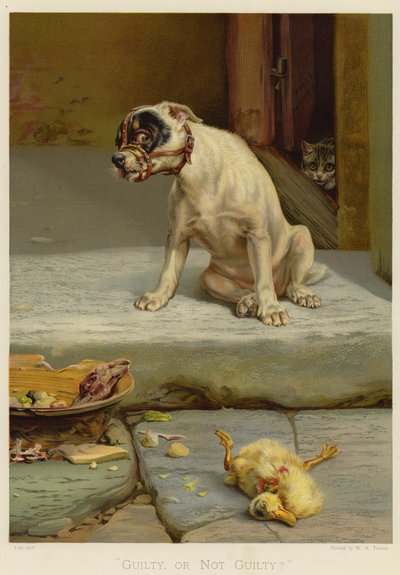 Schuldig oder nicht schuldig (Chromolithografie) von William Henry Hamilton Trood