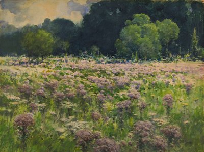 Feld von Joe-Pye-Unkraut (Stolz der Wiese) von William Henry Holmes