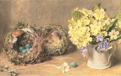 Frühlingsblumen und Vogelnester, ca. 1830 von William Henry Hunt