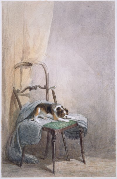 Studie eines Hundes auf einem Stuhl von William Henry Hunt
