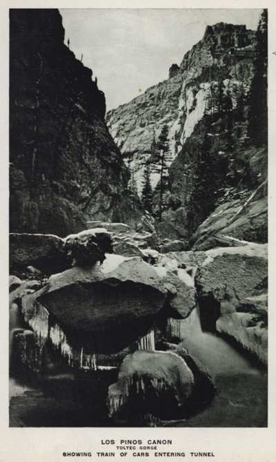 Canyons von Colorado: Los Pinos Canon, Toltec-Schlucht, zeigt Zugwagen, die in den Tunnel einfahren von William Henry Jackson
