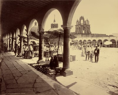 Markt in Aguascalientes, Mexiko von William Henry Jackson