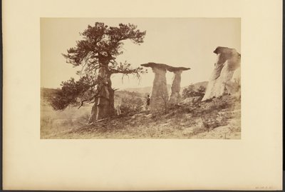 Monument Park, Die holländische Hochzeit von William Henry Jackson