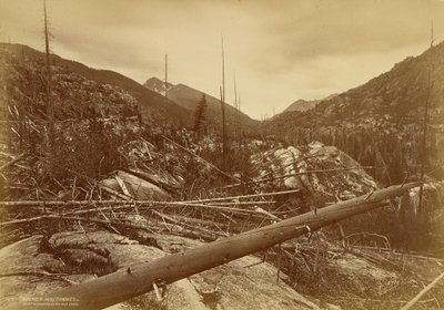 Roches Moutonnées in der Nähe des Berges des Heiligen Kreuzes von William Henry Jackson