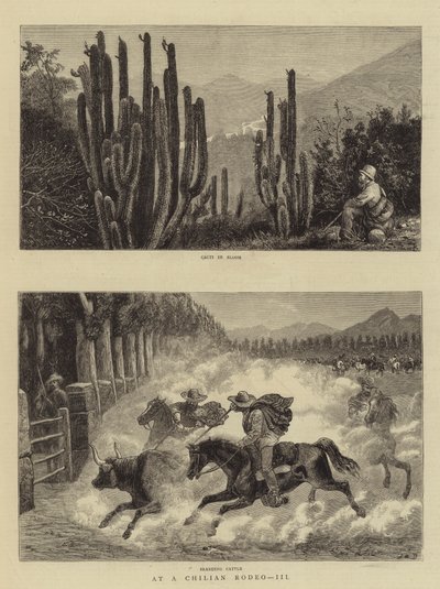 Bei einem chilenischen Rodeo, III von William Henry James Boot