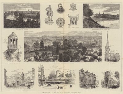 Shrewsbury und die Ausstellung der Royal Agricultural Society von William Henry James Boot