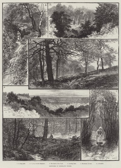 Skizzen im Highgate-Wald von William Henry James Boot