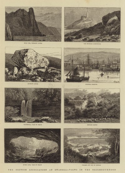 Die British Association in Swansea, Ansichten in der Umgebung von William Henry James Boot