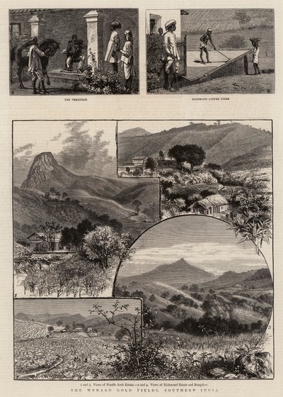 Die Wynaad-Goldfelder, Südindien von William Henry James Boot