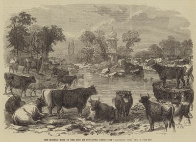 Die gehörnte Herde im Bois de Boulogne, Paris von William Henry Prior