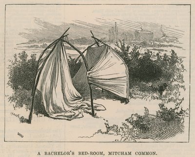 Skizzen aus dem Zigeunerleben; Ein Junggesellenzimmer, Mitcham Common von William Heysham Overend