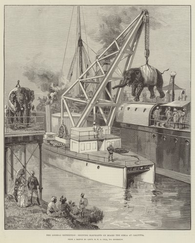 Die Looshai-Expedition, Elefanten an Bord der Simla in Kalkutta verladen von William Heysham Overend