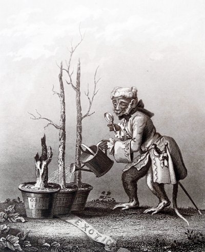 Schwanzstück zum Katalog des Künstlers von William Hogarth