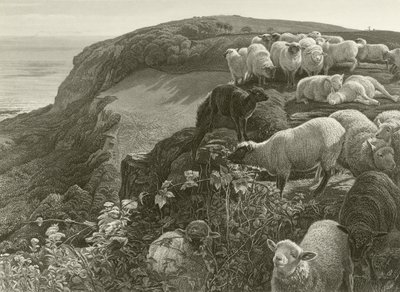 Am Hang von William Holman Hunt