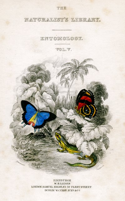 Die Bibliothek der Naturforscher, Entomologie, Band V, Schmetterlinge von William Home Lizars