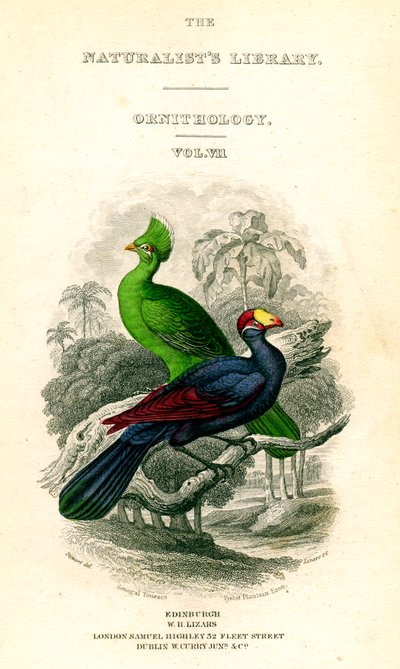 Die Bibliothek der Naturforscher, Ornithologie, Senegal-Turako, Veilchenpflanzenfresser, um 1833-1865 von William Home Lizars