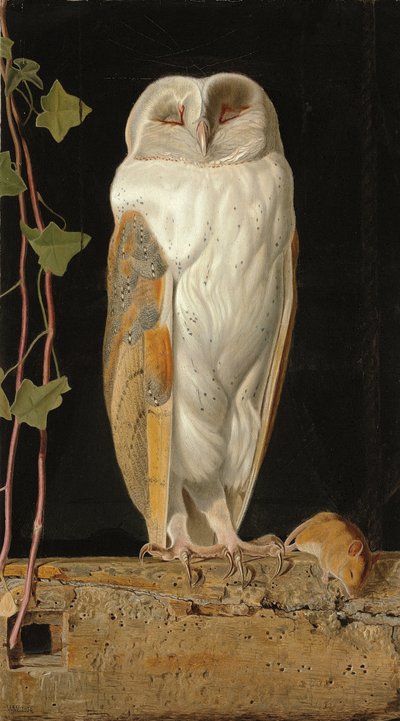 Die weiße Eule: "Allein und seine fünf Sinne wärmend, sitzt die weiße Eule im Glockenturm", 1856 von William J. Webbe