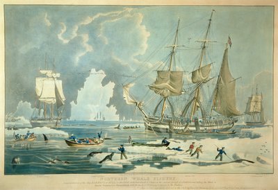 Nordische Walfischerei, graviert von E. Duncan von William John (after) Huggins