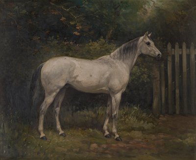 Pickles: ein Basuto-Pony, c.1904 von William Josiah Redworth