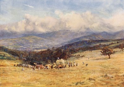 Brecknock Beacons, von der Brecknock-Talgarth Straße von William Lionel (after) Wyllie