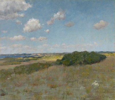 Sonnenlicht und Schatten, Shinnecock Hills, ca. 1895 von William Merritt Chase