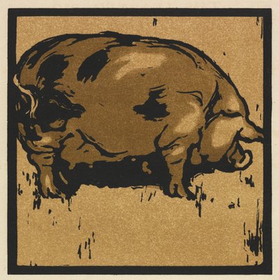 Das quadratische Buch der Tiere: Das gelehrte Schwein von William Nicholson