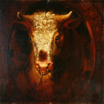 Der Stierkopf von William Overend Geller