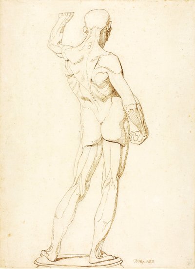 (Ein Ecorche, Rückansicht) von William Page