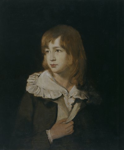 Porträt eines Jungen, John Parry of Garden, ca. 1788-89 von William Parry