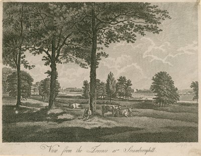 Blick von der Terrasse von Strawberry Hill, London von William Pars
