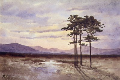 Sonnenuntergang, County Sligo von William Percy French