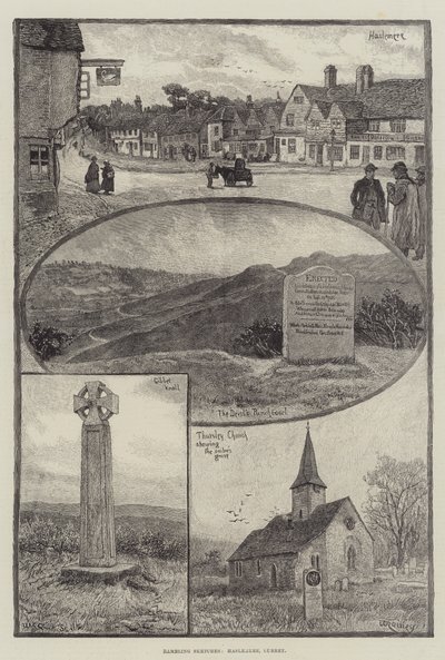 Streifzüge, Haslemere, Surrey von William Rainey