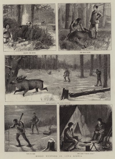 Elchjagd in Nova Scotia von William Ralston