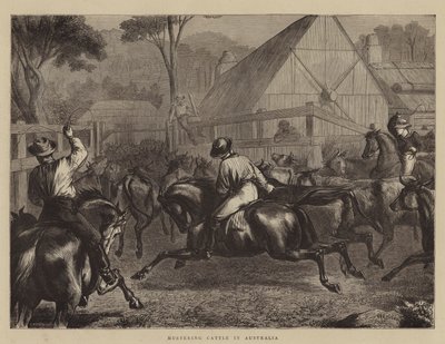 Viehtrieb in Australien von William Ralston