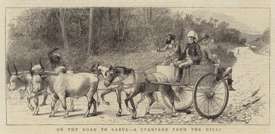 Auf dem Weg nach Kabul, eine Stampede aus den Hügeln von William Ralston