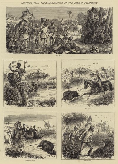 Skizzen aus Indien, Schweinejagd in der Bombay-Präsidentschaft von William Ralston