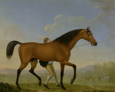 Der Bay-Hengst des Herzogs von Ancaster, Blank, geht auf eine Stute zu von William Shaw