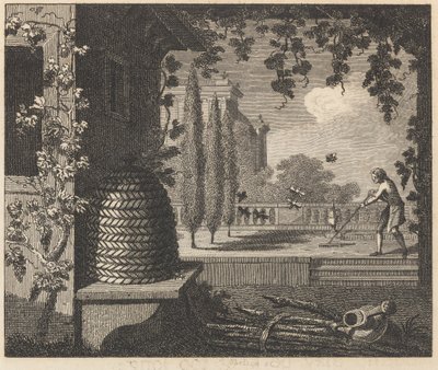 Die degenerierten Bienen von William Skelton