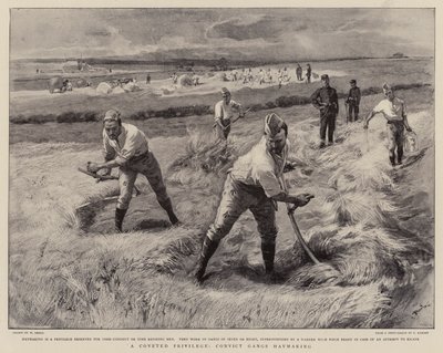 Ein begehrtes Privileg, Sträflingsgruppen beim Heumachen von William Small